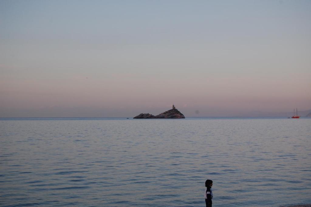 Hotel Acquamarina Portoferraio Værelse billede