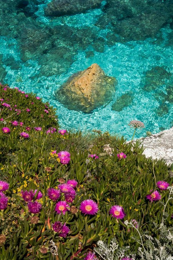 Hotel Acquamarina Portoferraio Eksteriør billede